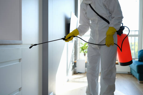Best Home Mold Removal  in Tioga, ND