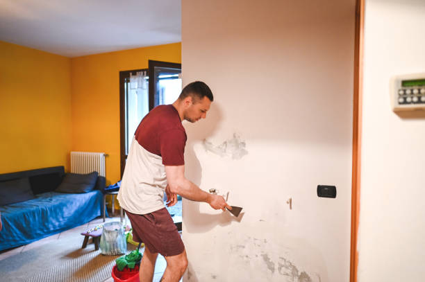 Trusted Tioga, ND Mold Removal Experts